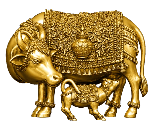 Kamdhenu · Kalash Saddle