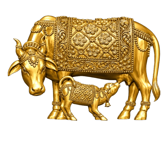 Kamdhenu · Diamond Pattern Saddle